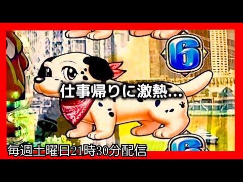 ラッキートリガーでお金を増やそうとしてみたら、とんでもない激熱がやってきました。【PAわんわんパラダイスCELEBRATION】【沖海5 パチンコ 海物語 ライブ ガチ践大海5!】#パーラーあげ実