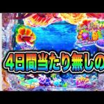 【871日目】 Pスーパー海物語in沖縄6実践動画！（ガチ実践動画2026/7/6）