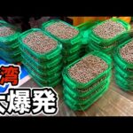 【台湾】全台モーニング新台と奇跡の大爆発！［パチンコ•パチスロ実践］［昭和レトロ］