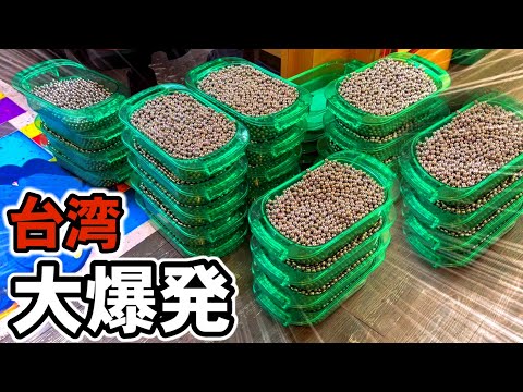 【台湾】全台モーニング新台と奇跡の大爆発！［パチンコ•パチスロ実践］［昭和レトロ］