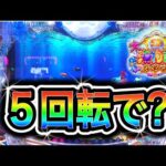 【769.770日目】大海物語5スペシャル実践動画!(ガチ実践動画2025/8/8.9)
