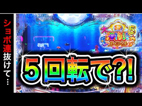 【769.770日目】大海物語5スペシャル実践動画!(ガチ実践動画2025/8/8.9)