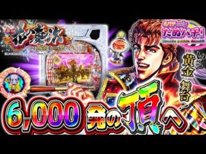 【新台】6000獲れなきゃ終われねぇよなぁ!?!? e花の慶次〜黄金の一撃<ニューギン>2025年11月新台初打ち【たぬパチ!】