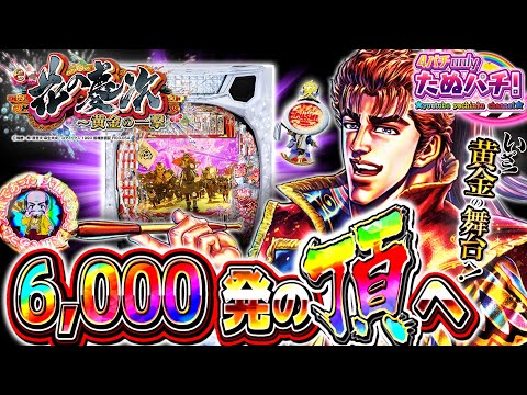 【新台】6000獲れなきゃ終われねぇよなぁ!?!? e花の慶次〜黄金の一撃<ニューギン>2025年11月新台初打ち【たぬパチ!】