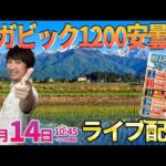 現在7万発(隣のリスナーさん)、助六当たりなし4万負け。後半全て捲ります‼︎【東京喰種】生まれ育った地元でガチ実戦!!  ︎#パチンコ生配信 #パチスロ生配信 #shorts
