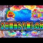 【844日目】Pスーパー海物語in沖縄6実践動画！（ガチ実践動画2026/3/27）