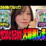 【新台 リゼロ強欲1/249・1/129】どっちが出るのか検証したら大変なことになったパチンコ女子#299