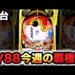 【新台】1/88甘デジにゃんこ大戦争は今週の覇権台？パチンコ実践神さまにおまかせ 88ver.
