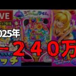 【今年-240万円】スーパー海物語沖縄6パチンコライブ配信後半戦