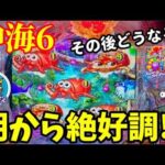 【沖海6】GW初戦の沖海で朝から絶好調⭐️その後どうなる⁉️ぱちぱちTV【1180】Pスーパー海物語IN沖縄6 第58話 #海物語#パチンコ#ぱちぱちtv