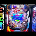 【P海物語極JAPAN】4円パチンコライブ配信!(ガチ実践ライブ2025/7/26)【765日目後半】