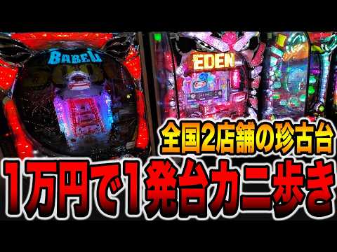 【珍古台】全国2店舗の1発台を1万円でカニ歩き攻略[パチンコ・パチスロ]