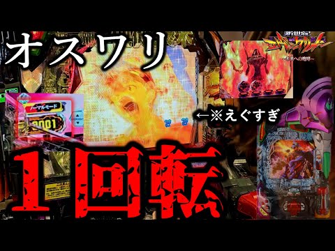 ※朝イチお座り1回転※【エヴァ15未来への咆哮実践】