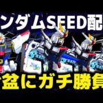 【パチンコ 新台 ガンダムシード】お盆に生配信【ひでぴ パチンコ】